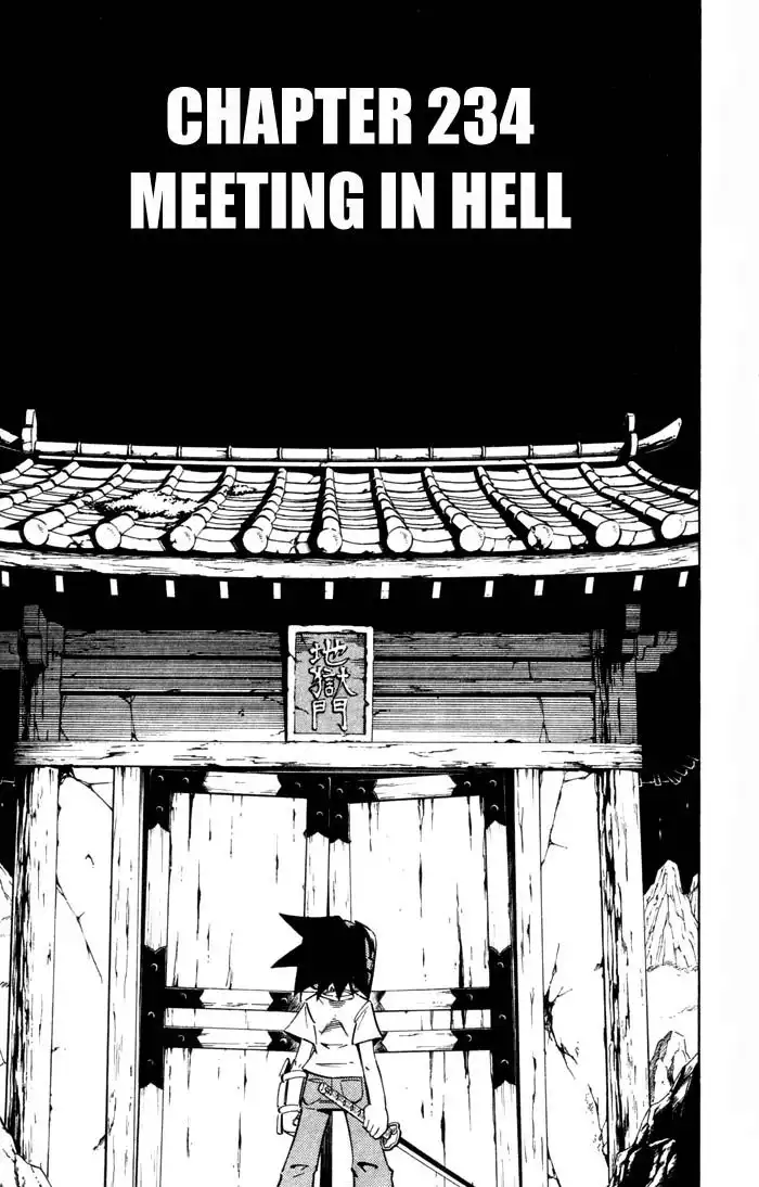 Shaman King Chapter 234 3